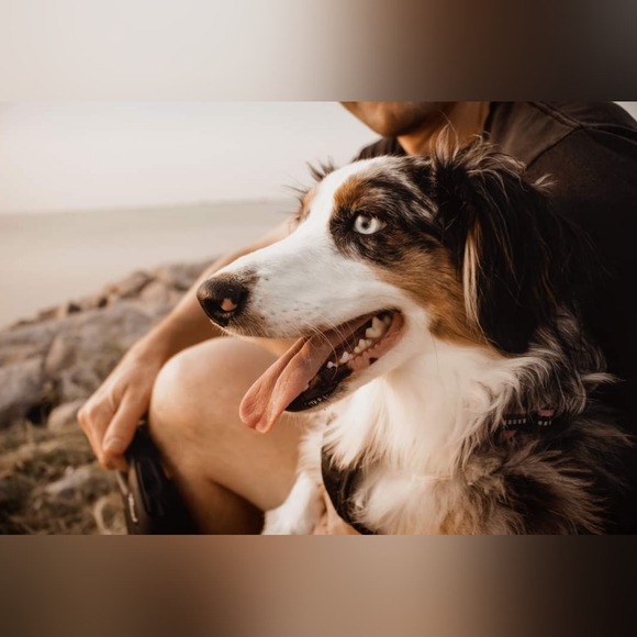 Meet your Posher, Emily - Picture 3 of 6